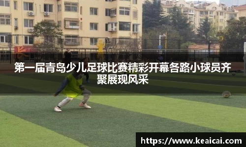 bsports官网入口