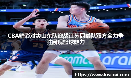bsports官网入口